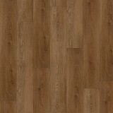 Boundless 8
Saddle Oak